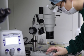 Thí nghiệm biến đổi gen này nhận không ít chỉ trích từ giới khoa học đối với vấn đề nhân đạo.