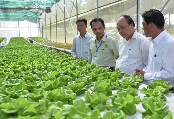 HĐND tỉnh sẽ xem xét thành lập 5 khu nông nghiệp ứng dụng công nghệ cao