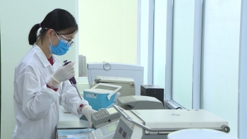 Kit chẩn đoán Covid-19 do các nhà khoa học Viện Công nghệ sinh học (Viện Hàn lâm Khoa học và công nghệ Việt Nam) chế tạo.