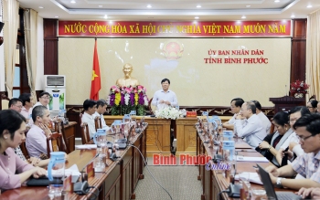 Phó chủ tịch UBND tỉnh Trần Văn Mi phát biểu kết luận hội nghị