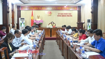 Ủy viên Ban Thường vụ Tỉnh ủy, Phó Chủ tịch UBND tỉnh Trần Tuyết Minh phát biểu kết luận cuộc họp