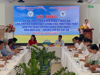 Toàn cảnh hội thảo