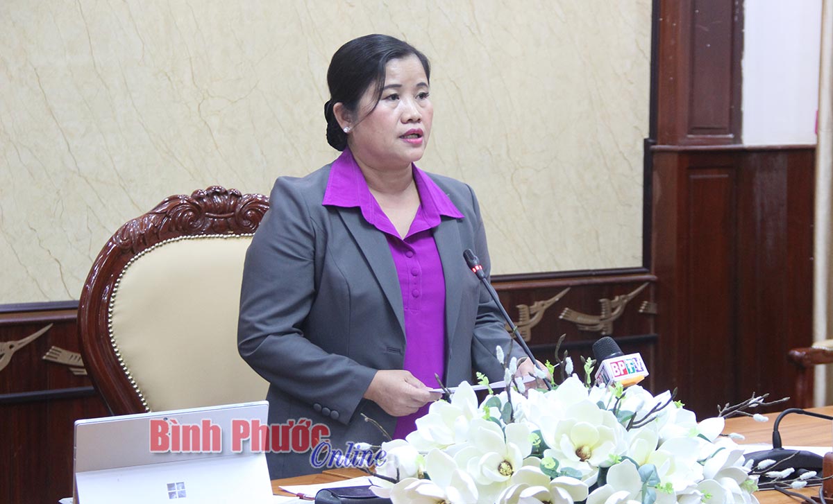 Phó bí thư Tỉnh ủy, Chủ tịch UBND tỉnh Trần Tuệ Hiền phát biểu tại hội nghị