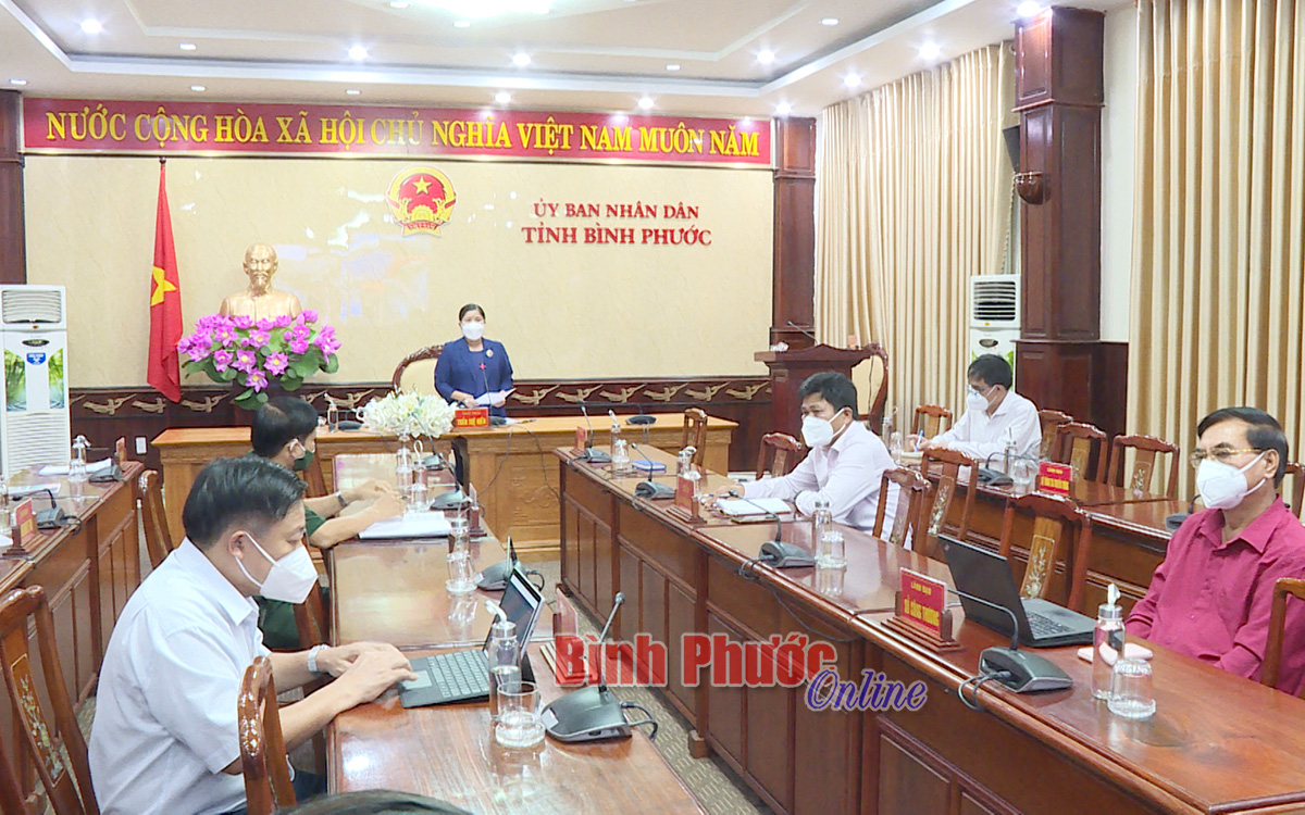 Phó bí thư Tỉnh ủy, Chủ tịch UBND tỉnh Trần Tuệ Hiền phát biểu chỉ đạo  cuộc họp