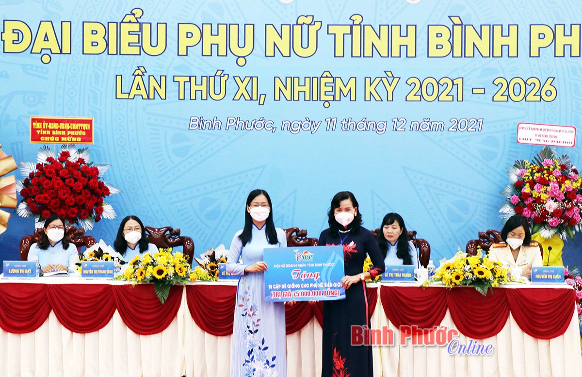 Thường trực Hội nữ Doanh nhân tỉnh trao bảng tượng trưng tặng 15 cặp dê giống trị giá 75 triệu đồng cho phụ nữ 15 xã biên giới. 